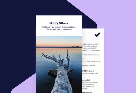 Images from the website